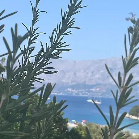 Apartman Silvia 1 Villa Povlja (Brac)